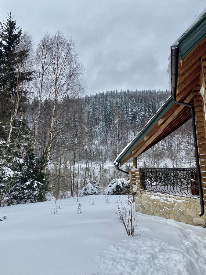 Chalet Four Seasons Villa Tatariv Exterior photo